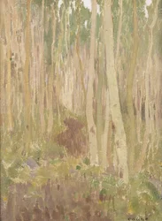 Aspen-Sinfonie, 1902